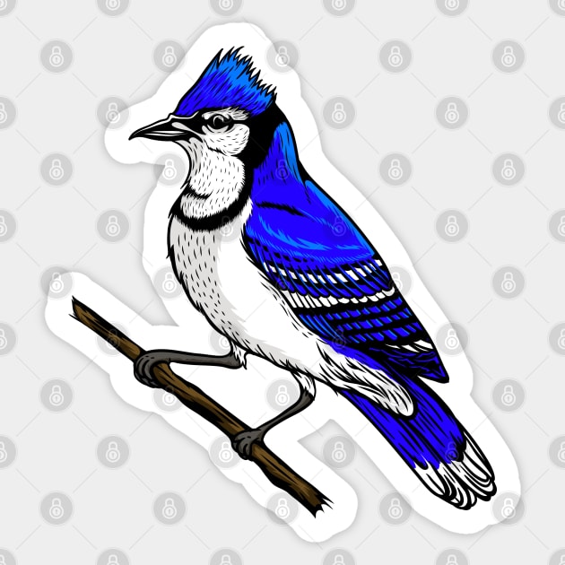 Blue Jay Sticker by Sticker Steve